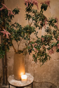 Event: Catherine Martin 'Majorelle' Carpet Launch