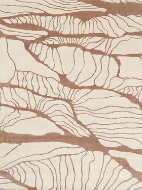 Overhead view of Balation rug in beige and brown