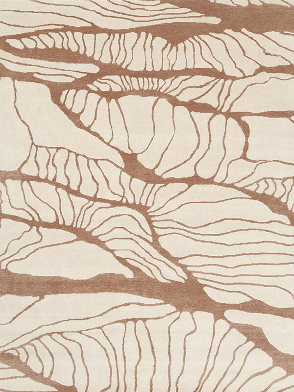 Overhead view of Balation rug in beige and brown