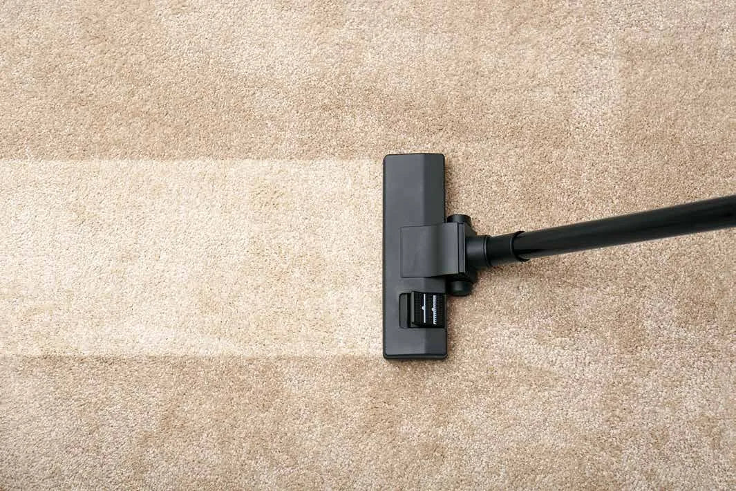 A vacuum head on a rug pile
