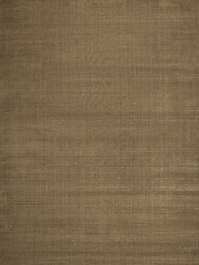 Overhead image of the Ravira taupe beige rug
