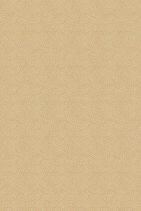 Overhead view of leopard print Leopardo carpet in beige colour