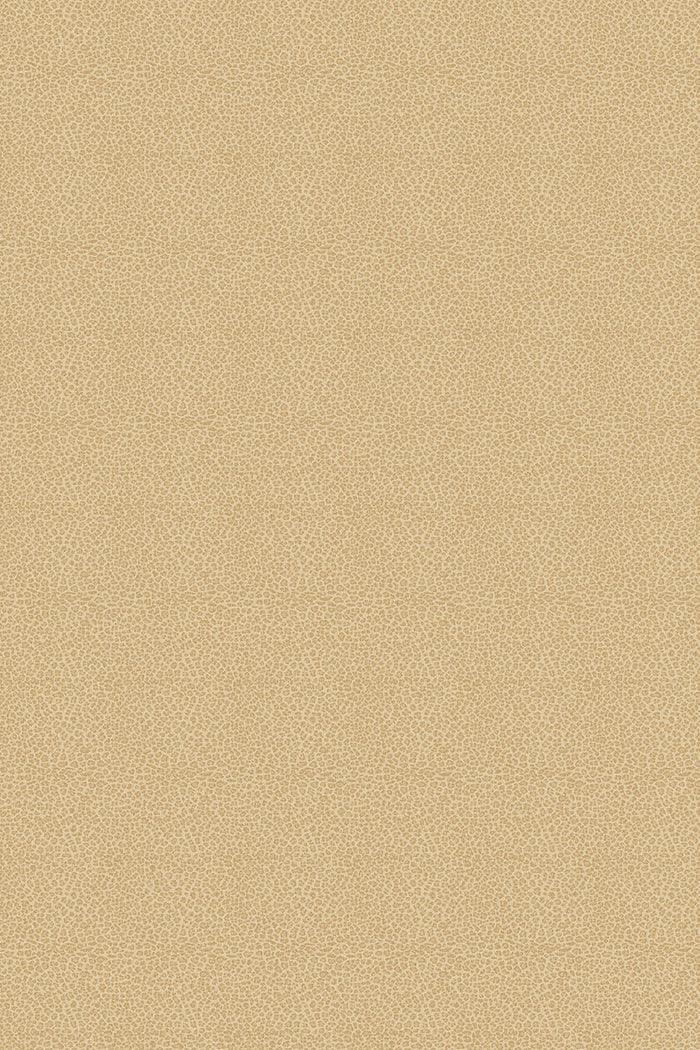 Overhead view of leopard print Leopardo carpet in beige colour