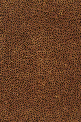 Close up view of textured Coral Cut Pile rug in brown colour