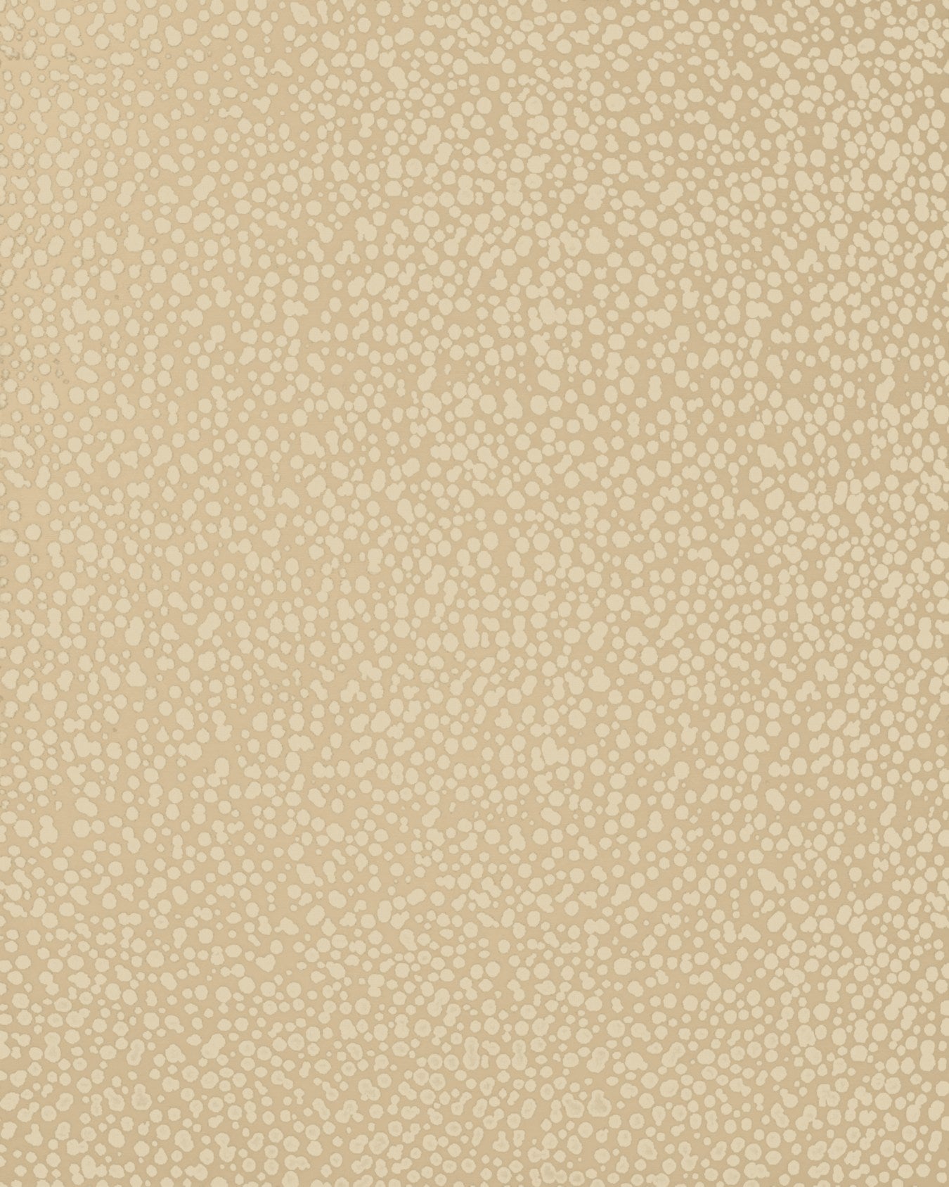 overhead of dapple rug by greg natale white dots on white background