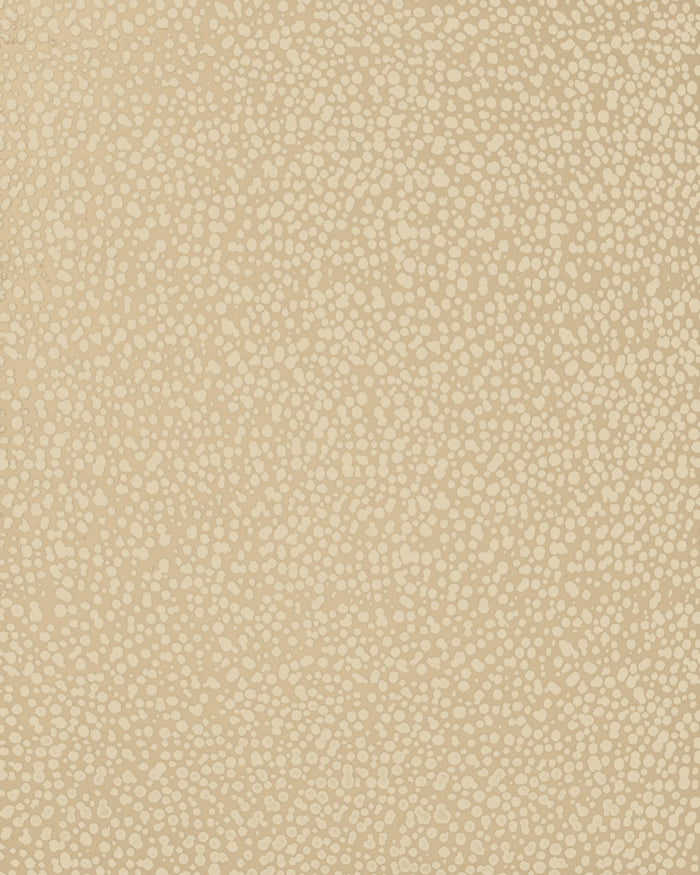 overhead of dapple rug by greg natale white dots on white background