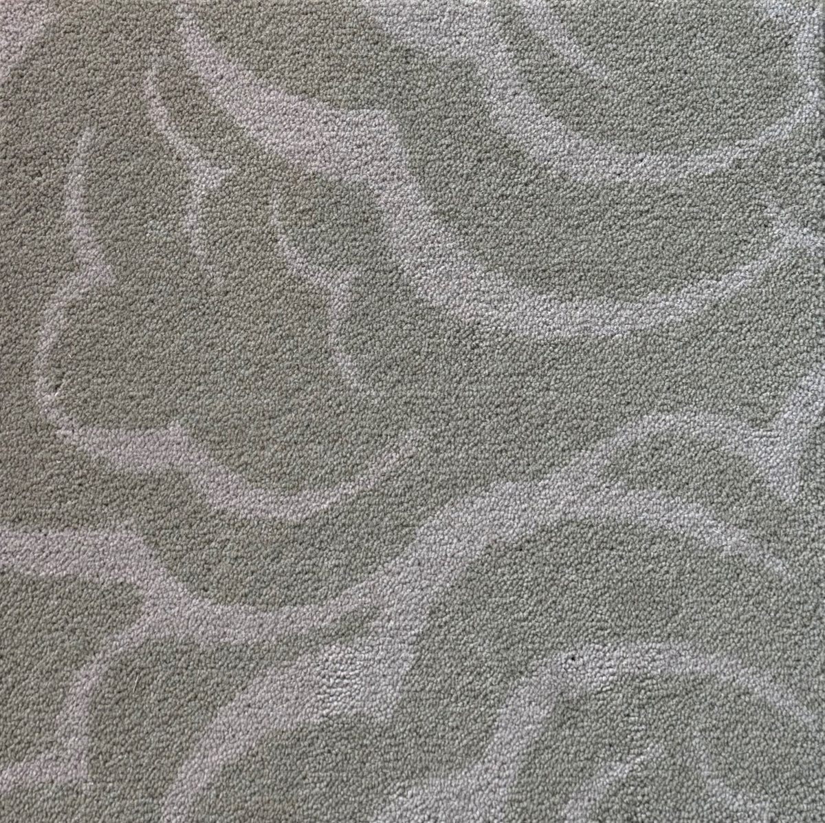 overhead image of the Cloud Sand axminister carpet
