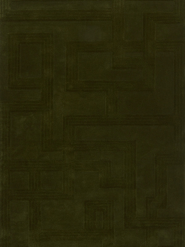 overhead image of the bowie forest