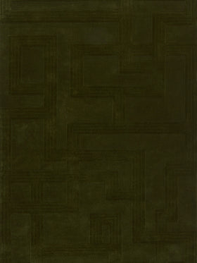 overhead image of the bowie forest