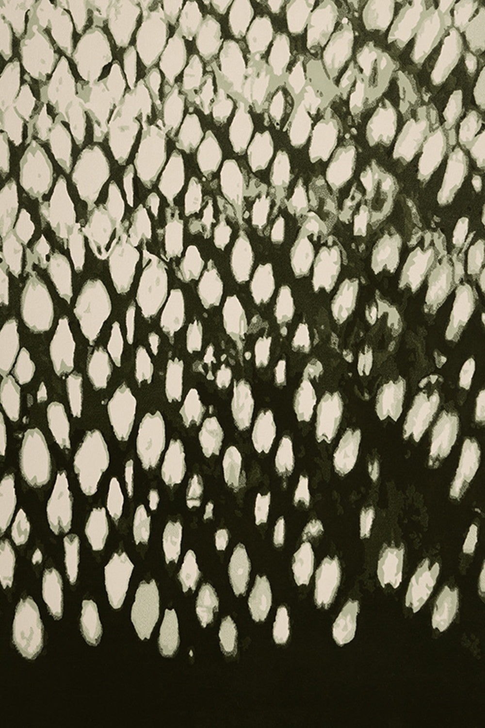 Overhead image of Mackerel Sky rug designed by Shibori