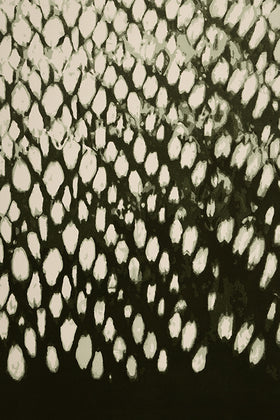 Overhead image of Mackerel Sky rug designed by Shibori