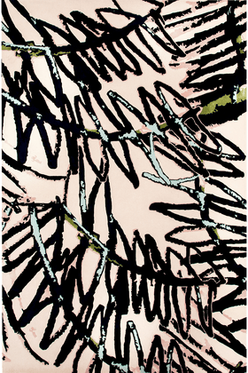 overhead image of the Frankie rug