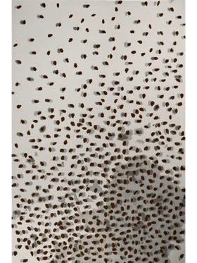 Seeds